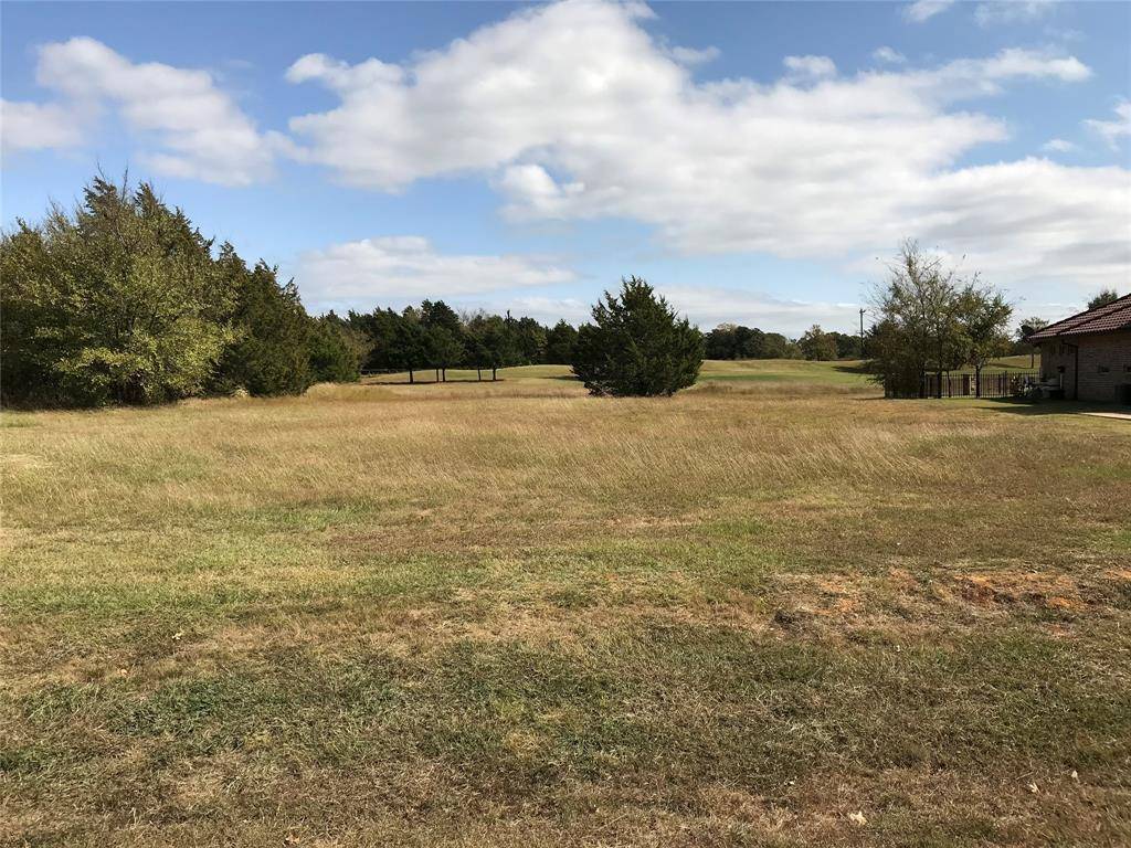 206 Roaring Fork Circle, Gordonville, TX 76245