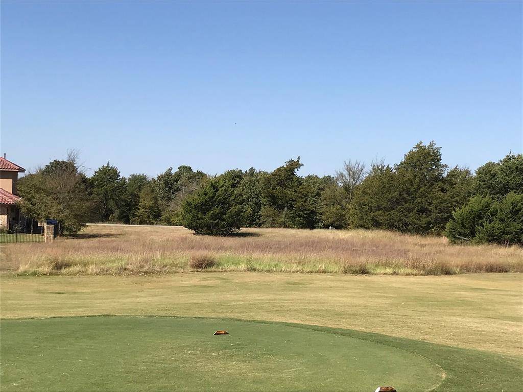 206 Roaring Fork Circle, Gordonville, TX 76245