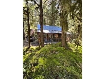 Cabin 61 Northwoods, Cougar, WA 98616
