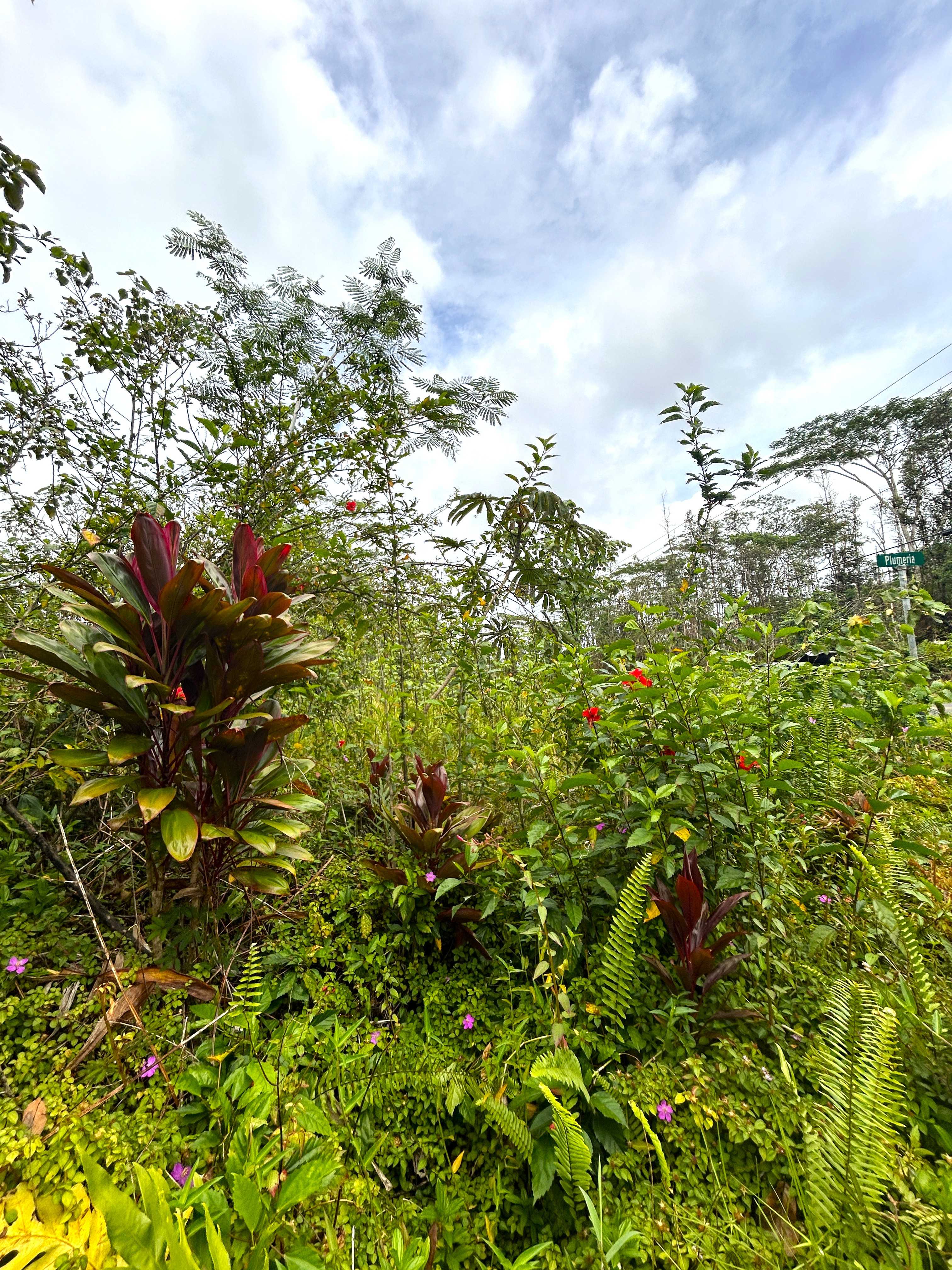 PLUMERIA RD, Pahoa, HI 96778
