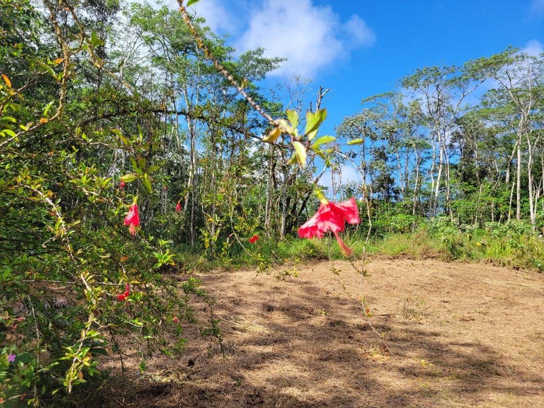 PLUMERIA RD, Pahoa, HI 96778