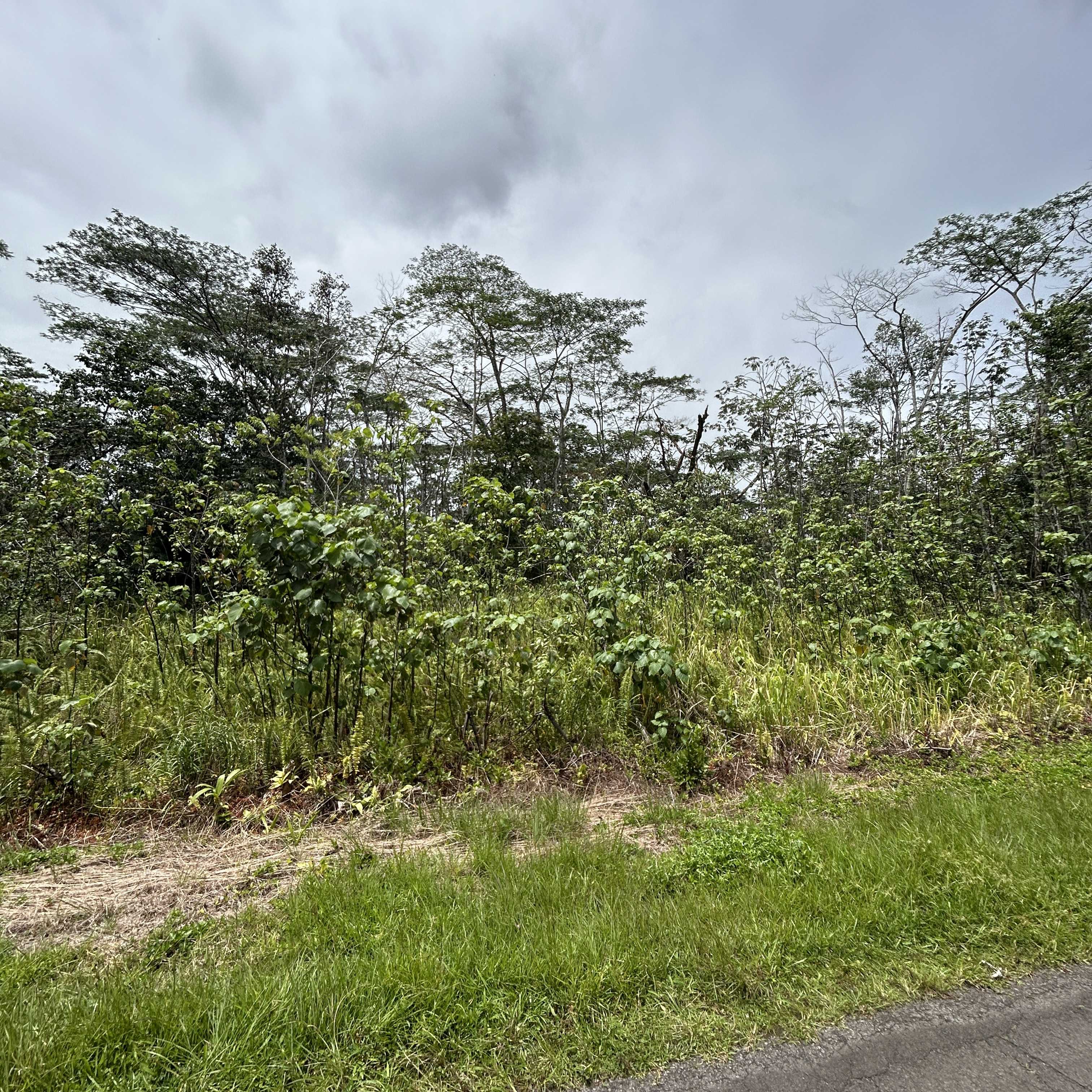 PLUMERIA RD, Pahoa, HI 96778