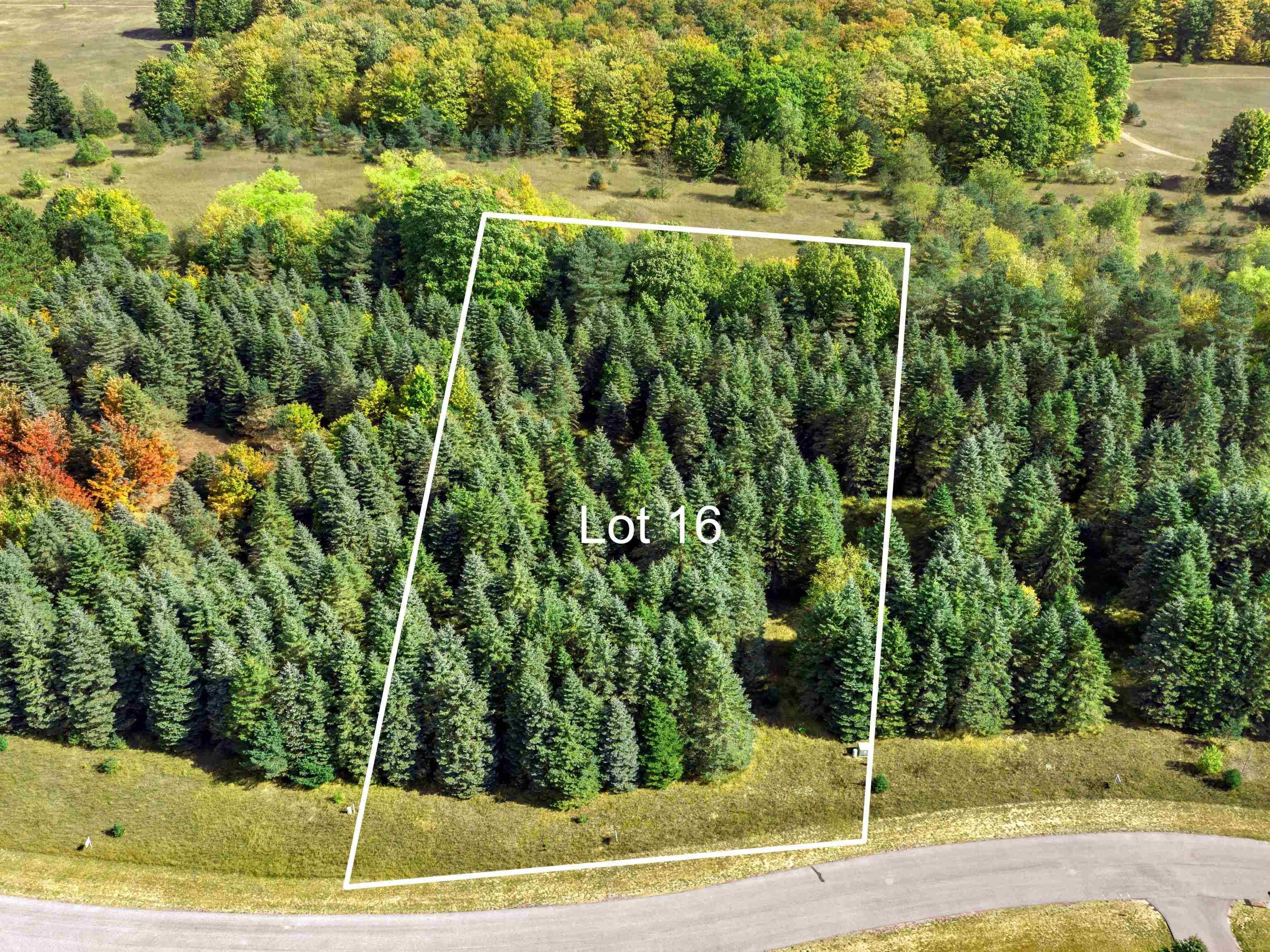 Lot 16 Lipp Farm RD, Benzonia Twp, MI 49616