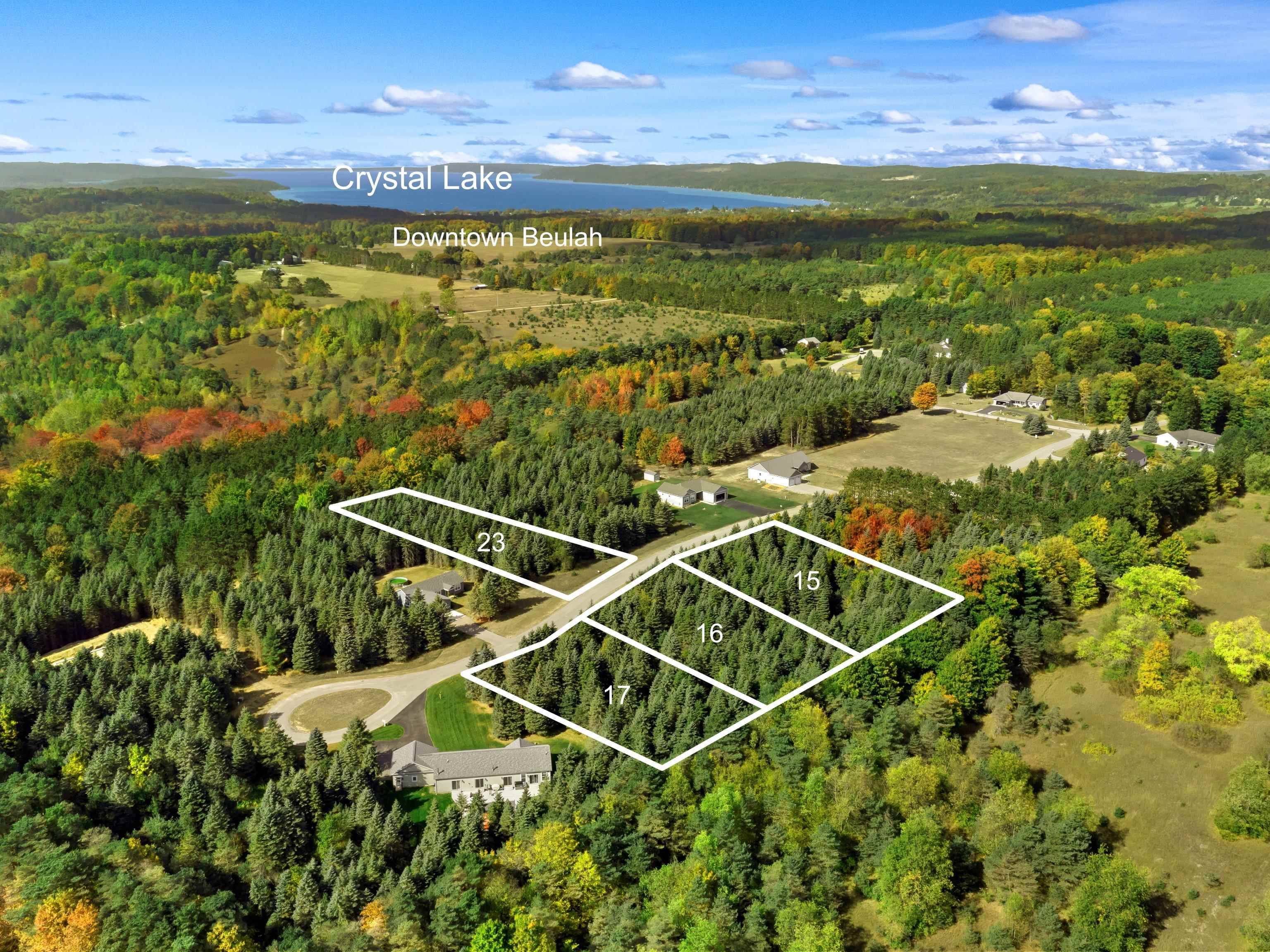 Lot 16 Lipp Farm RD, Benzonia Twp, MI 49616