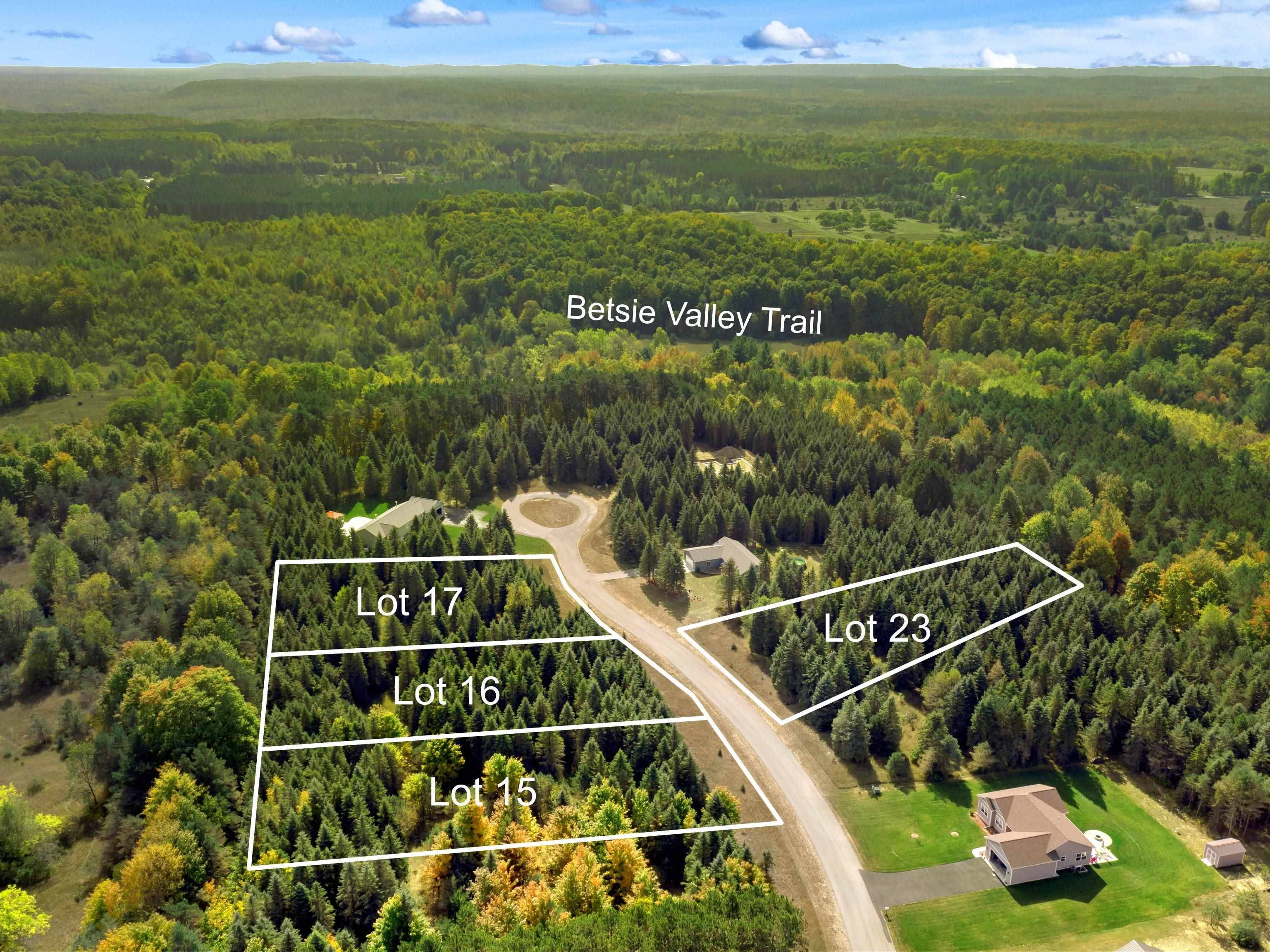 Lot 16 Lipp Farm RD, Benzoniatownship_benzie, MI 49616