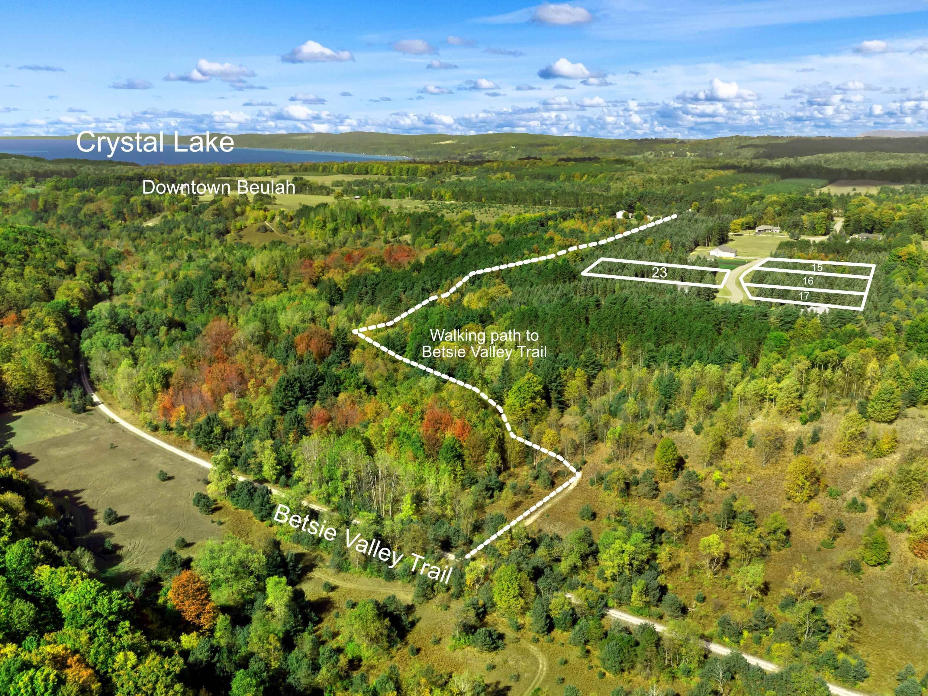 Lot 16 Lipp Farm RD, Benzoniatownship_benzie, MI 49616