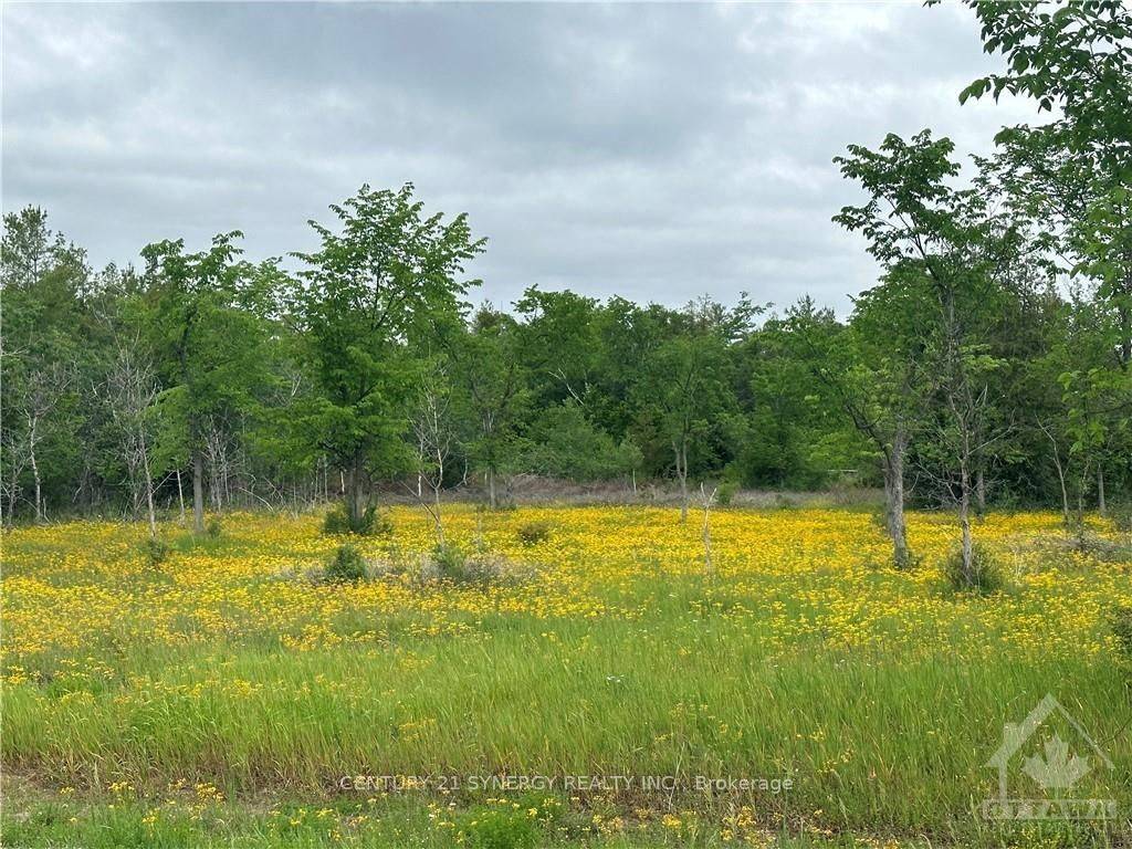 0 ARMITAGE AVE, Constance Bay - Dunrobin - Kilmaurs - Woodlawn, ON K0A 1T0