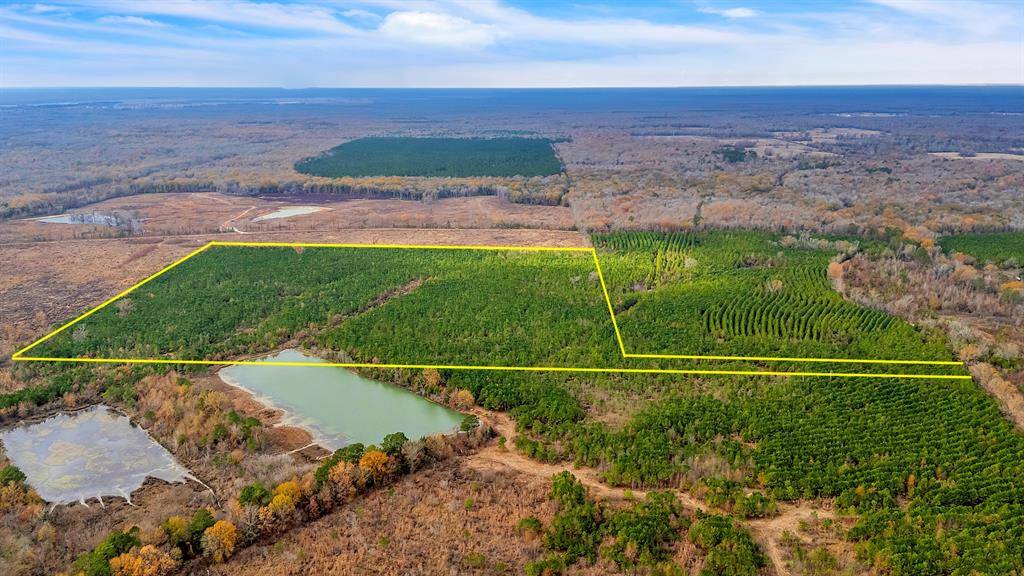 TBD Cr-4308, De Kalb, TX 75559