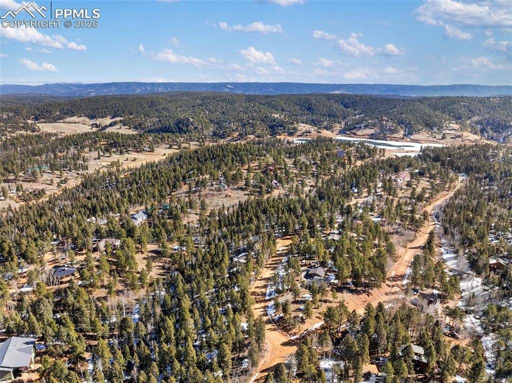 810 Ridge RD, Divide, CO 80814