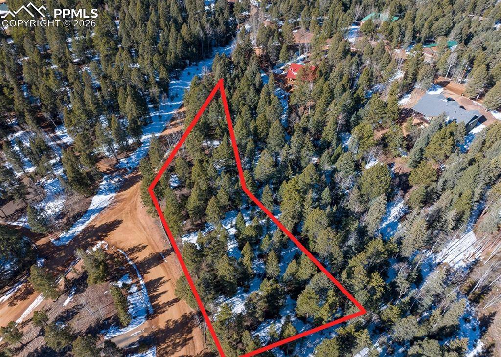 810 Ridge RD, Divide, CO 80814