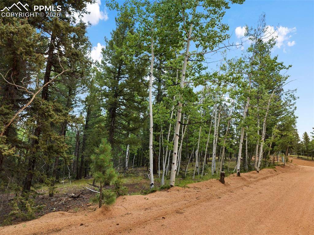 810 Ridge RD, Divide, CO 80814