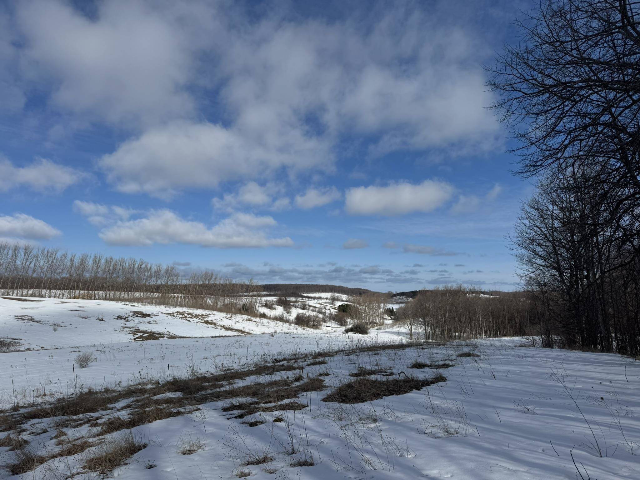 E John Michael DR, Suttons Bay Twp, MI 49682