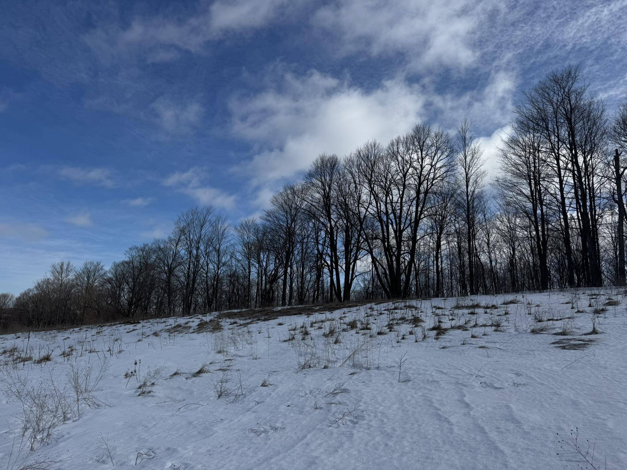 E John Michael DR, Suttons Bay Twp, MI 49682