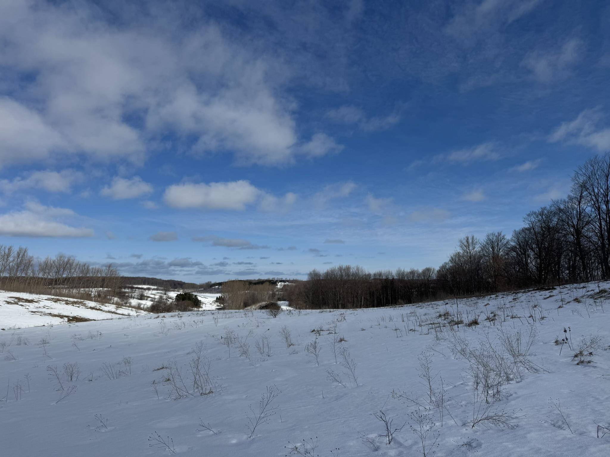 E John Michael DR, Suttons Bay Twp, MI 49682