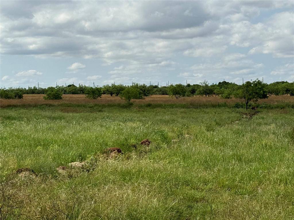 5 ACRES-TBD-Hines Rd Hines, Tye, TX 79563