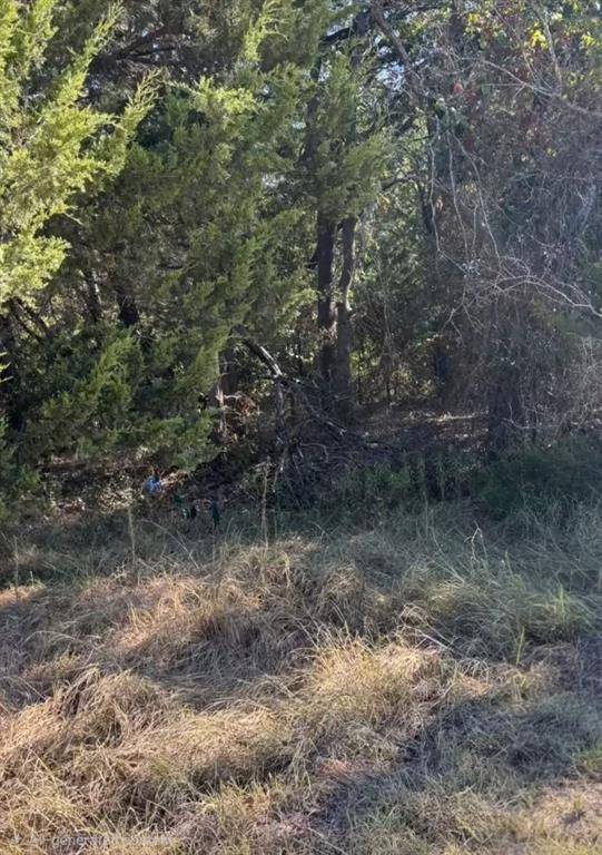 TBD NW County Road 3112, Purdon, TX 76679
