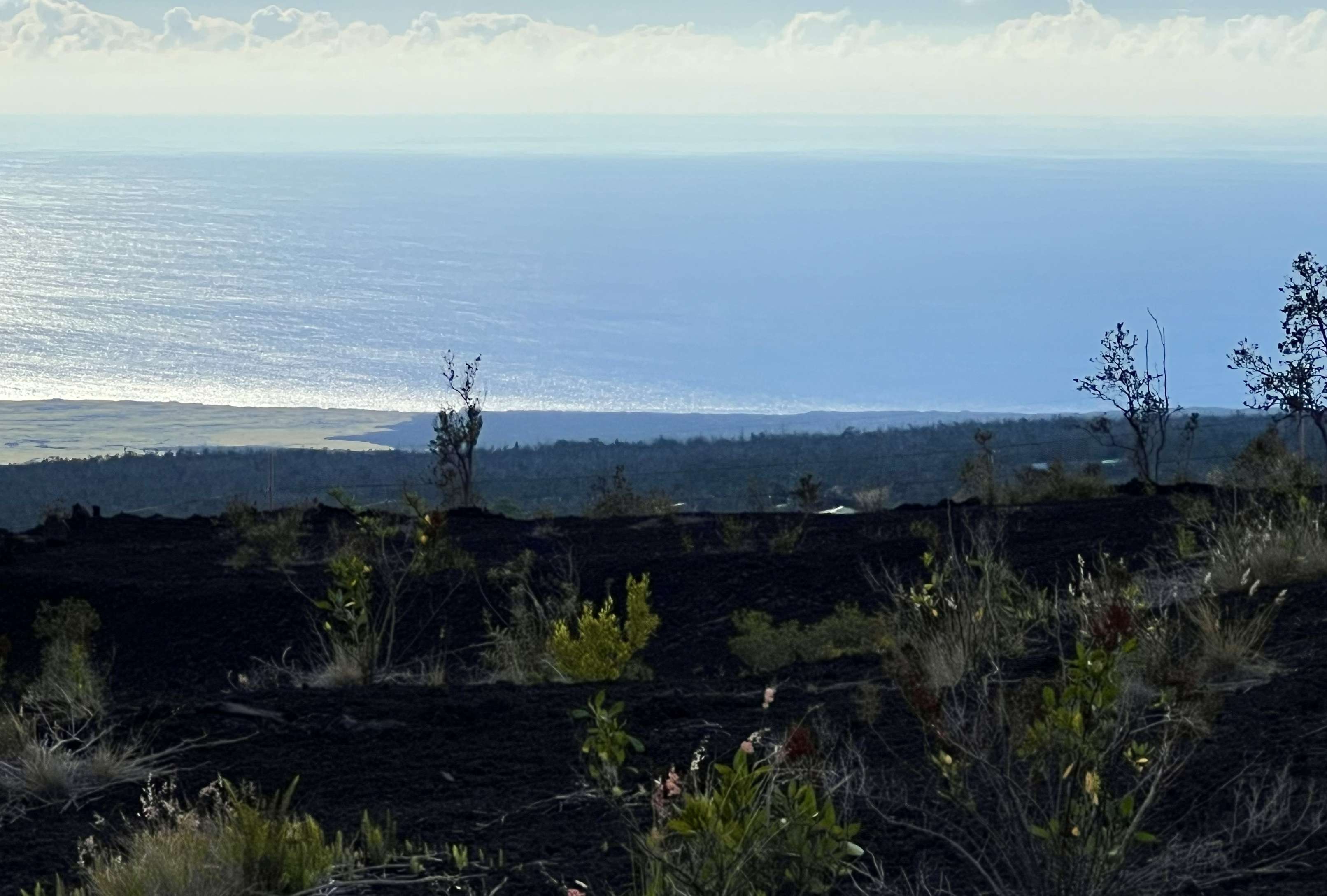 LEHUA LN, Ocean View, HI 96737