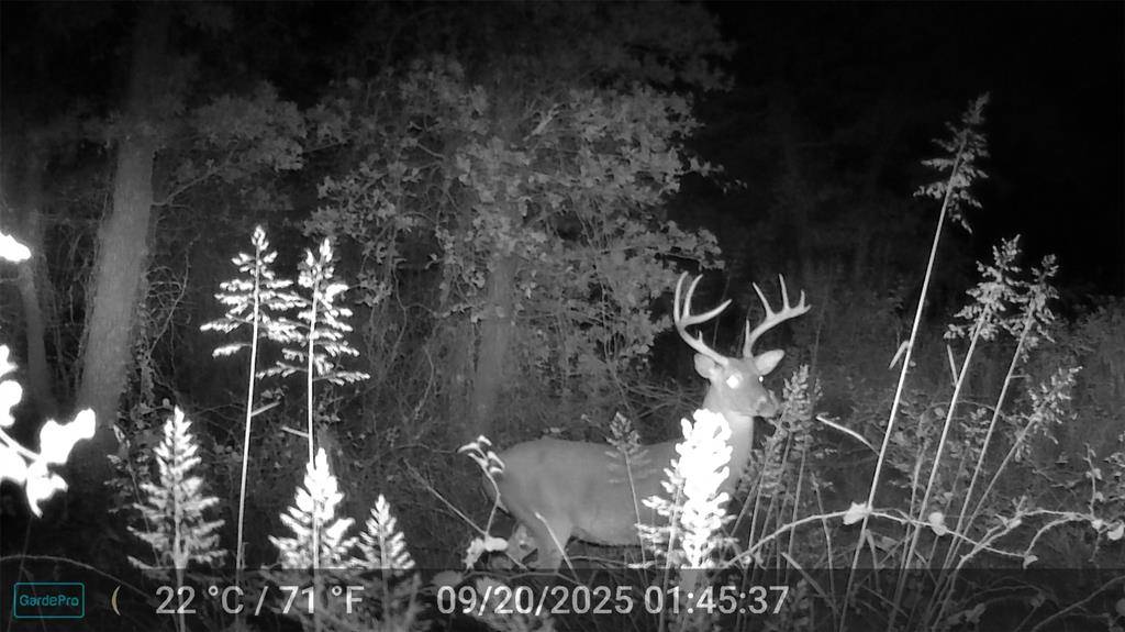 524 County Road 1792, Sunset, TX 76270