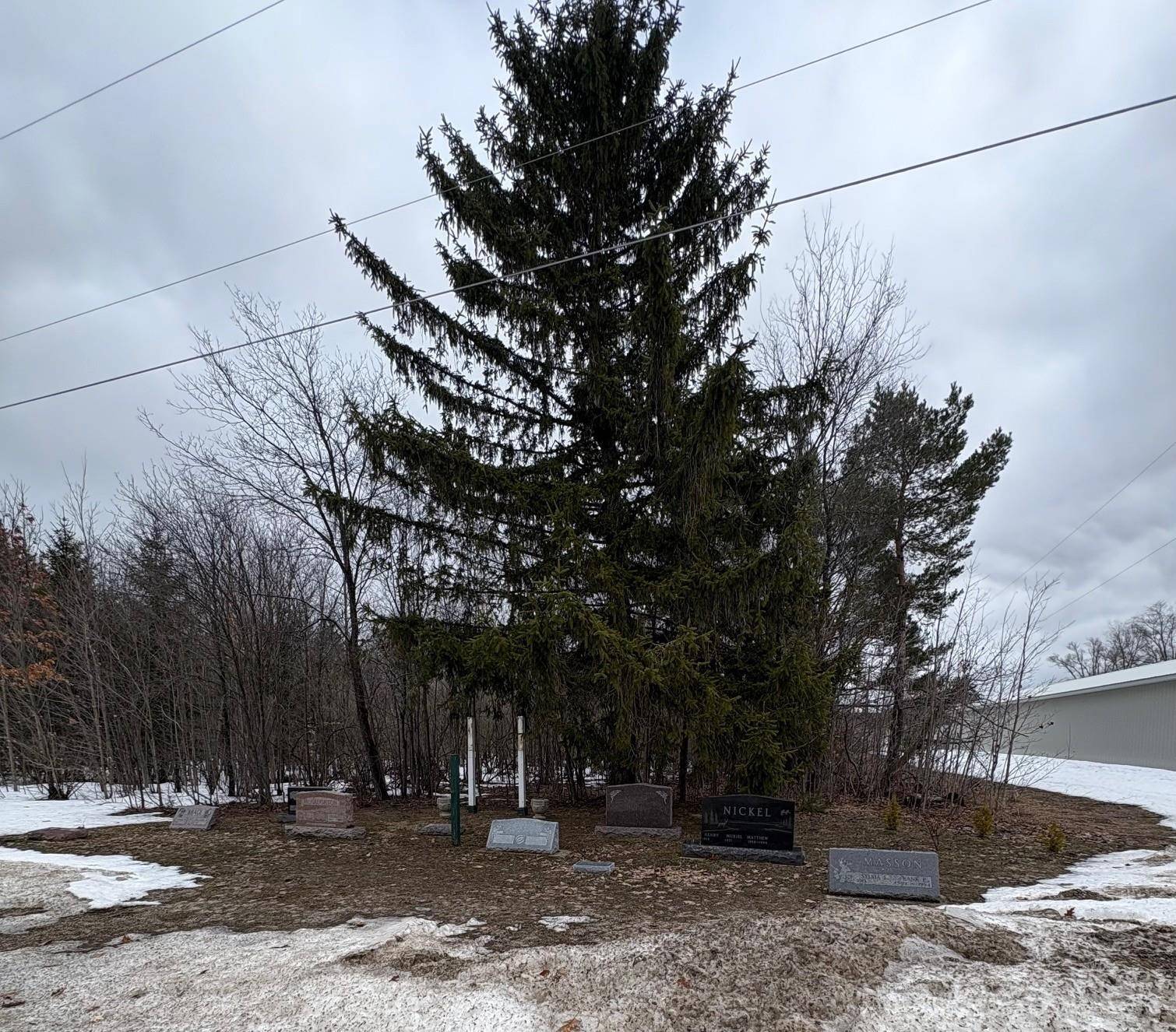 00 Cedar River RD, Mancelona Twp, MI 49659