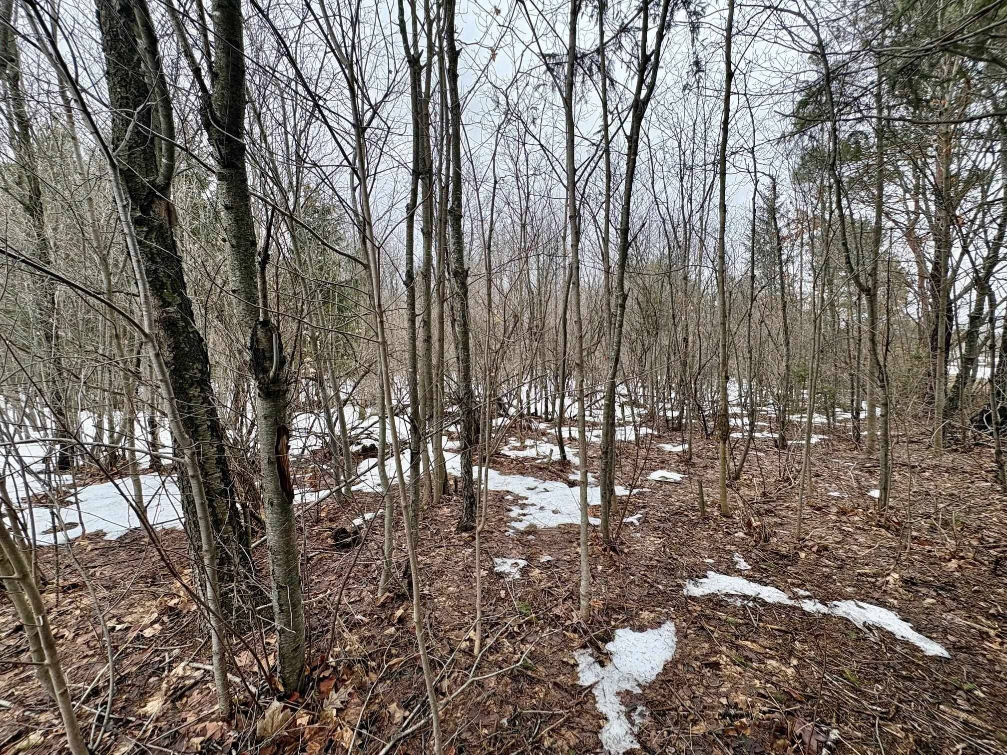 00 Cedar River RD, Mancelona Twp, MI 49659