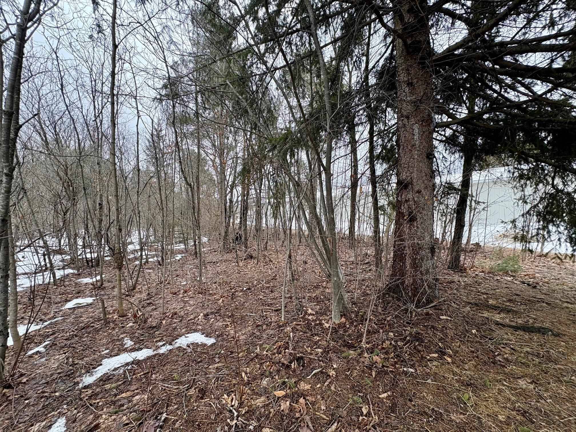 00 Cedar River RD, Mancelona Twp, MI 49659