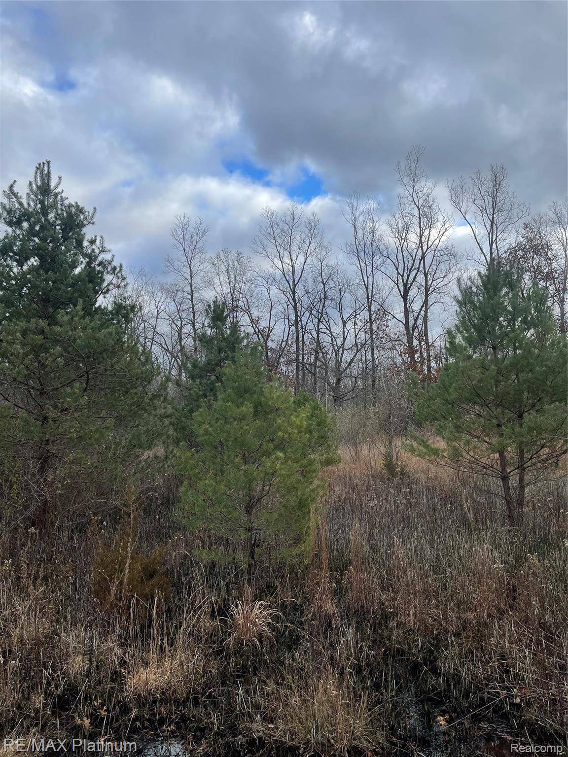 0 SEYMOUR RD, Argentine Township, MI 48451