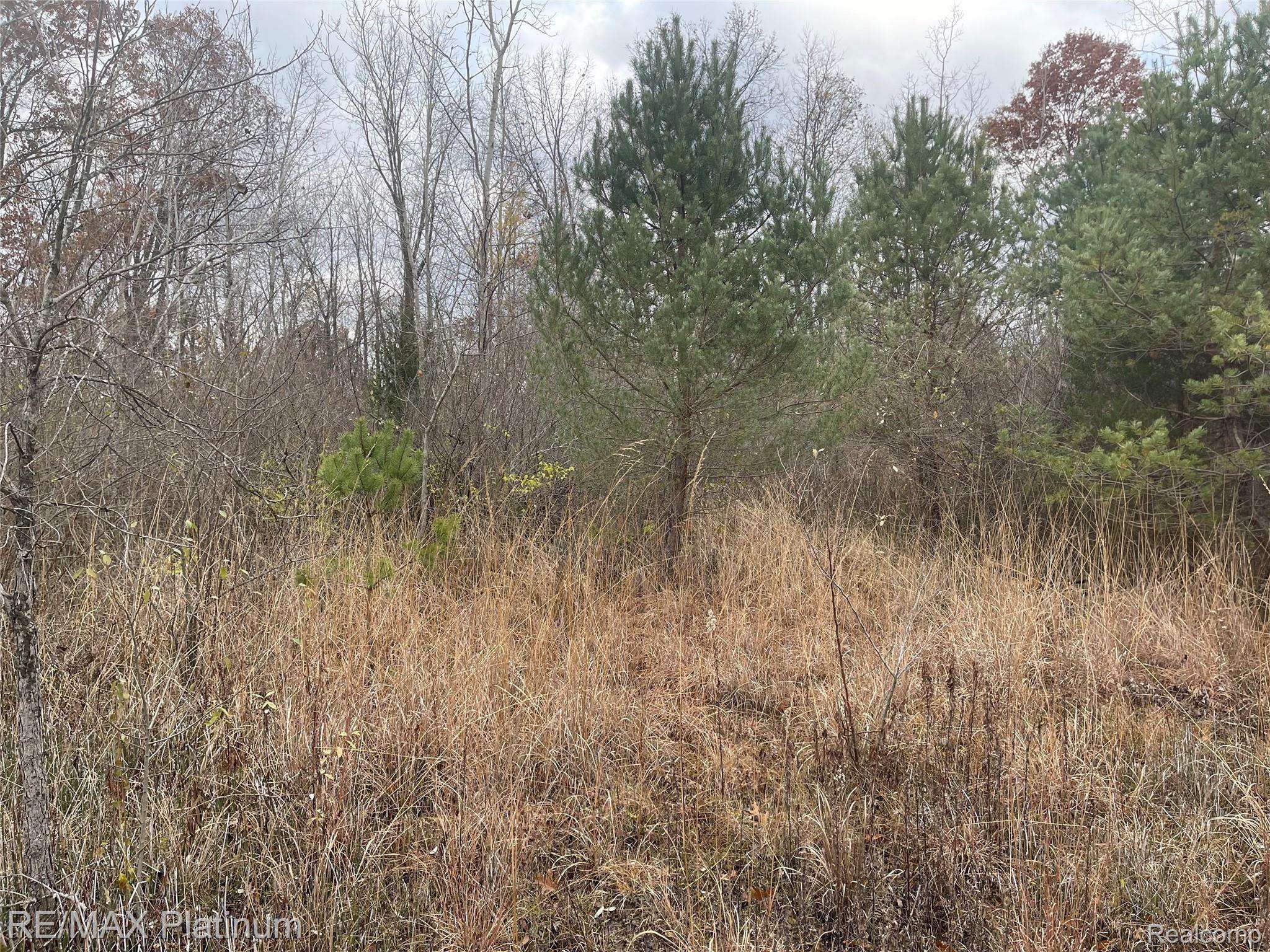 0 SEYMOUR RD, Argentine Township, MI 48451