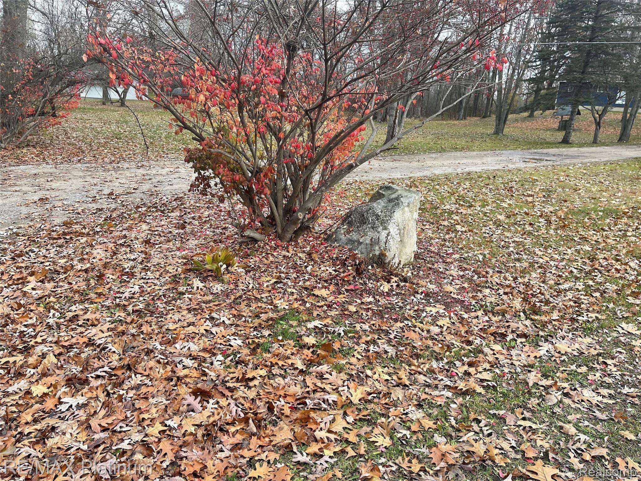 0 SEYMOUR RD, Argentine Township, MI 48451