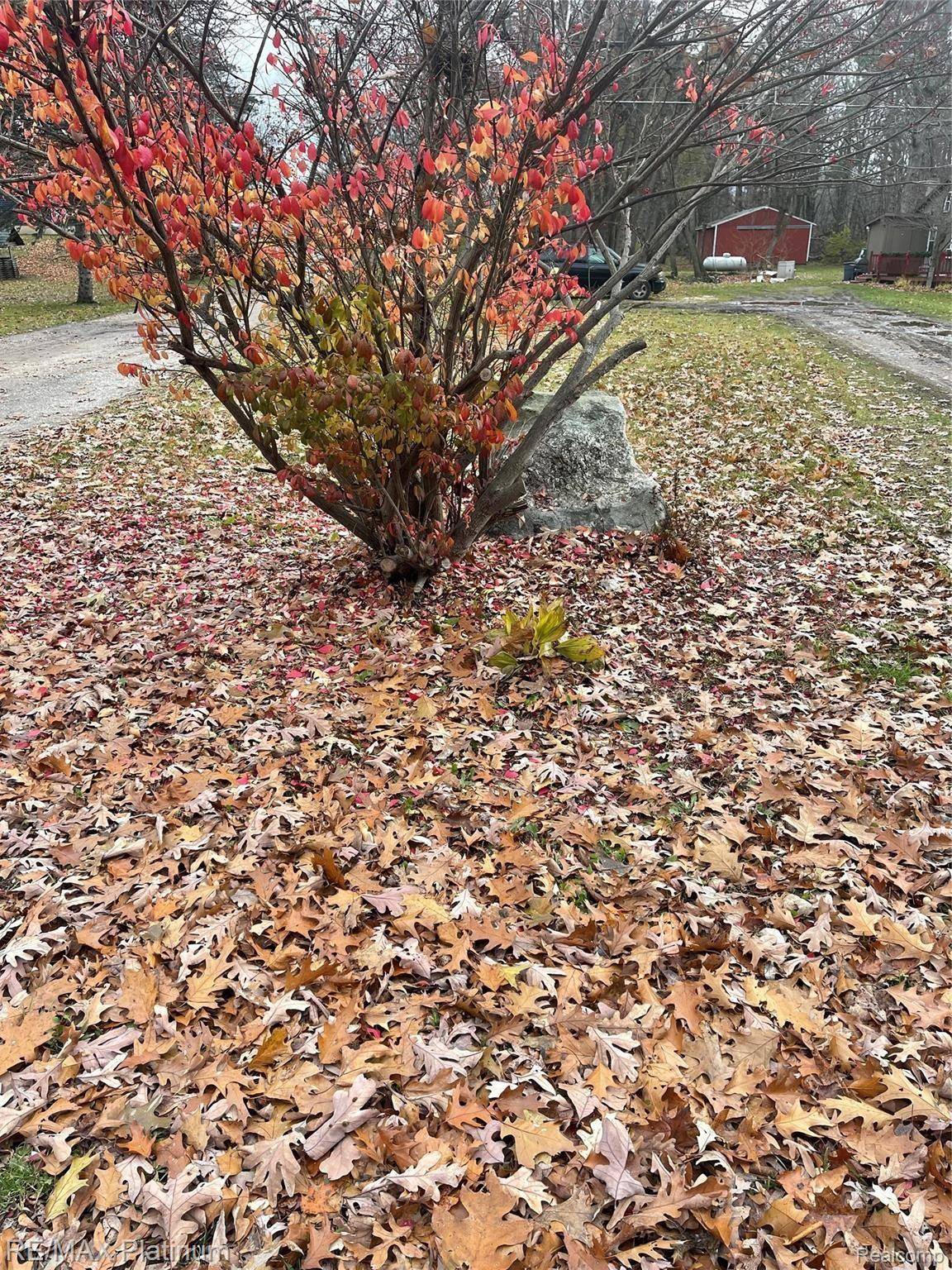 0 SEYMOUR RD, Argentine Township, MI 48451