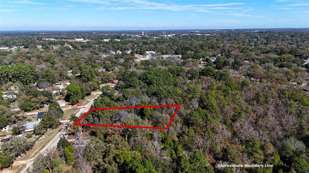 905 W Cayuga Drive, Athens, TX 75751