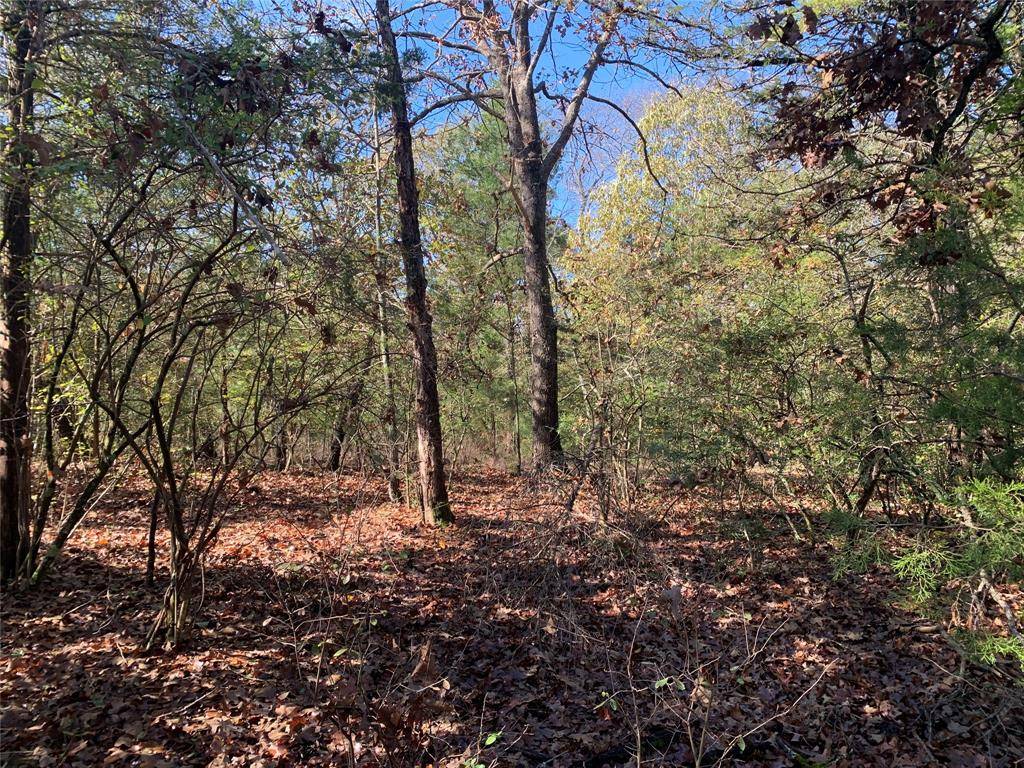 905 W Cayuga Drive, Athens, TX 75751