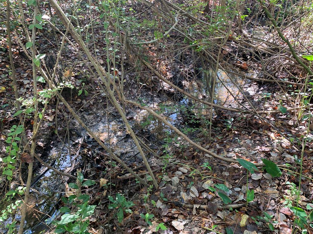 905 W Cayuga Drive, Athens, TX 75751