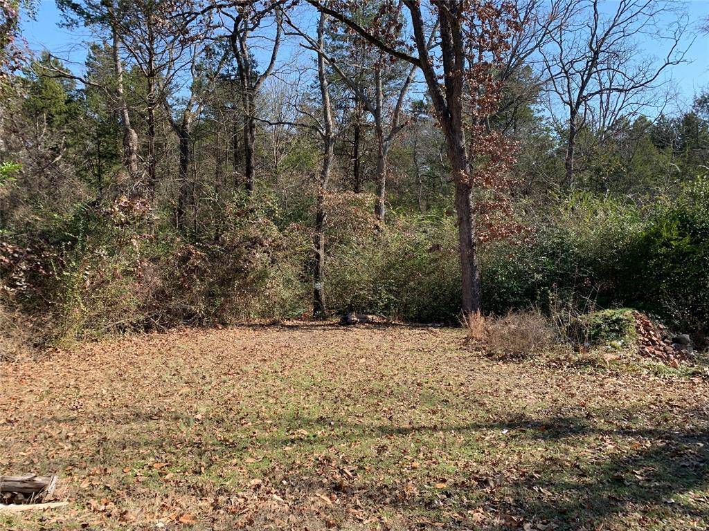 911 W Cayuga Drive, Athens, TX 75751