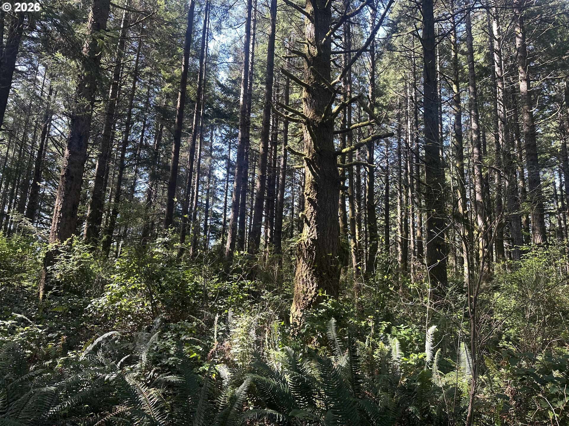 Cedar Terraces, Port Orford, OR 97465