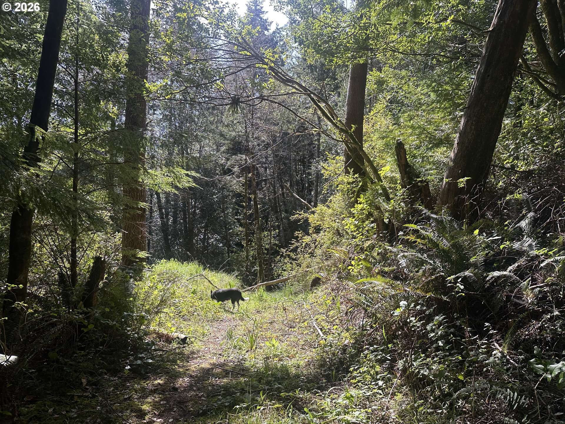 Cedar Terraces, Port Orford, OR 97465