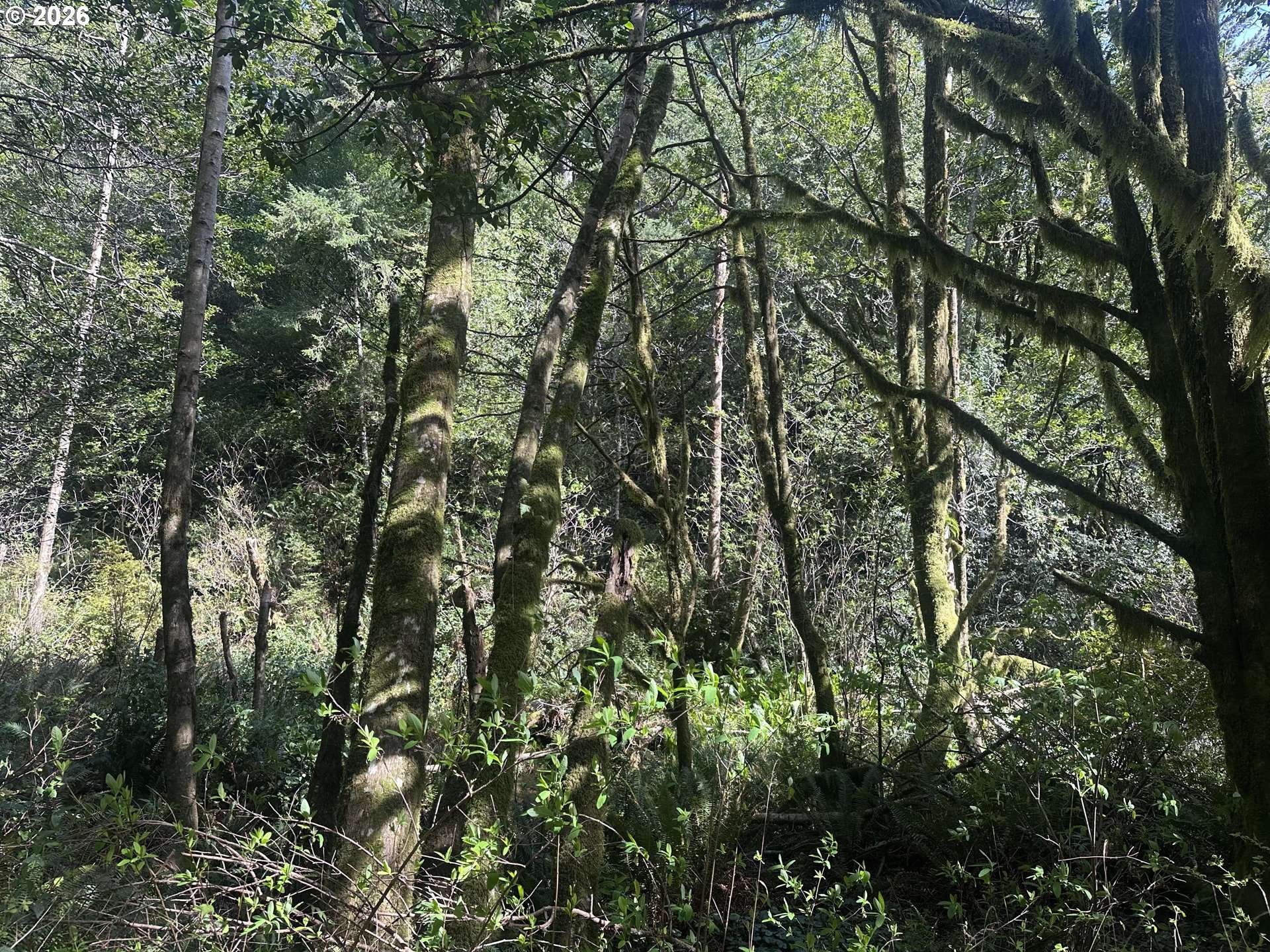 Cedar Terraces, Port Orford, OR 97465