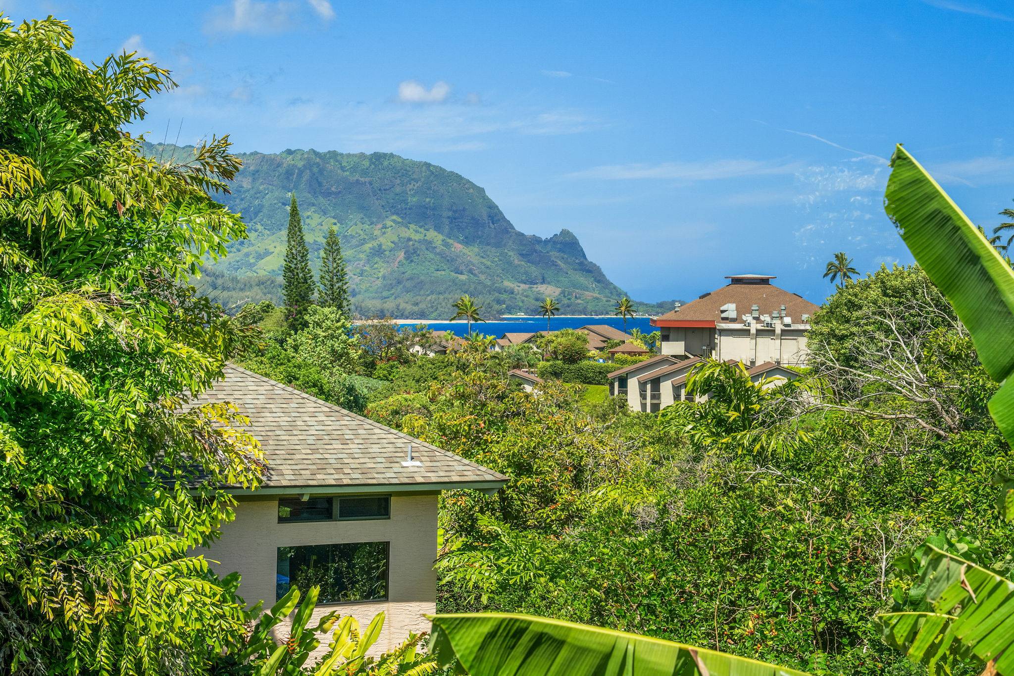 4204 KEKUANAOA LN, Princeville, HI 96722