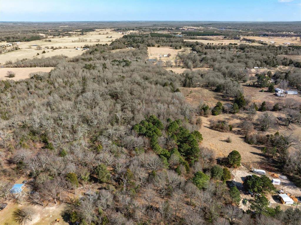 TBD VZ County Road 4511, Ben Wheeler, TX 75754