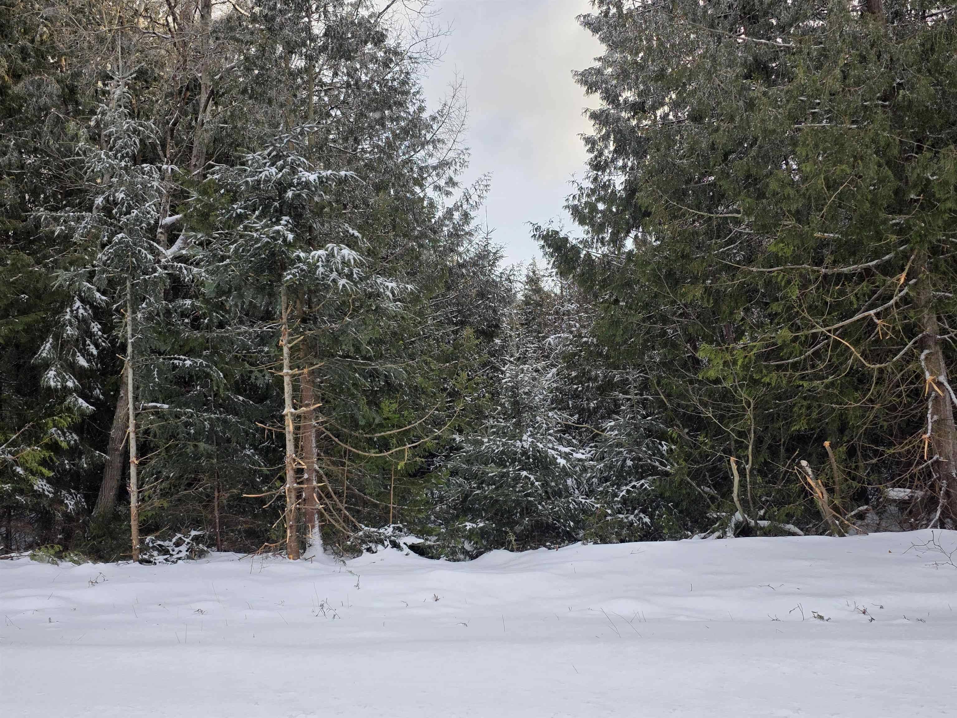 0 Arrowhead, Oscoda Twp, MI 48750