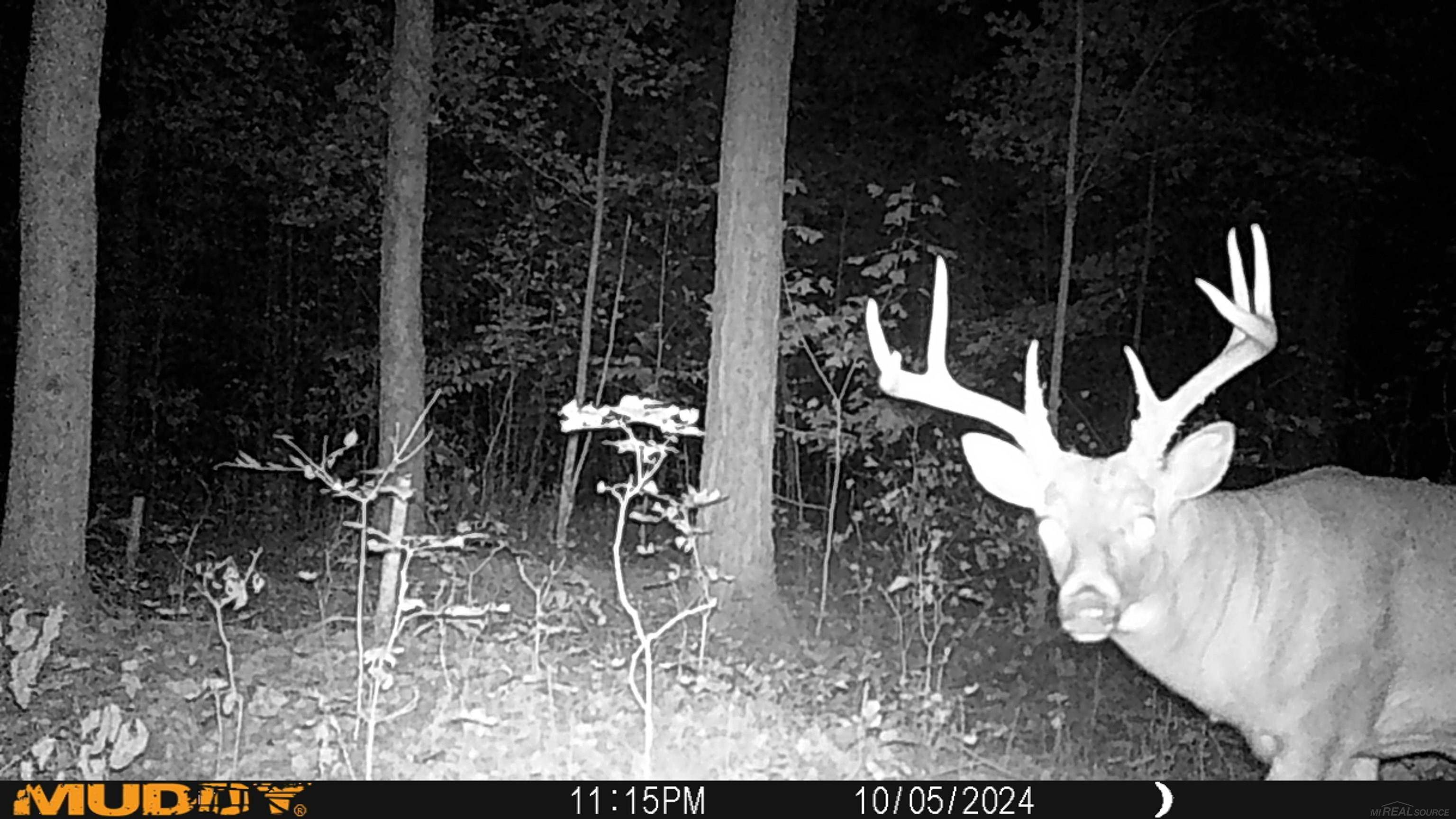 4011 Sandall RD, Maple Ridge Twp, MI 49707