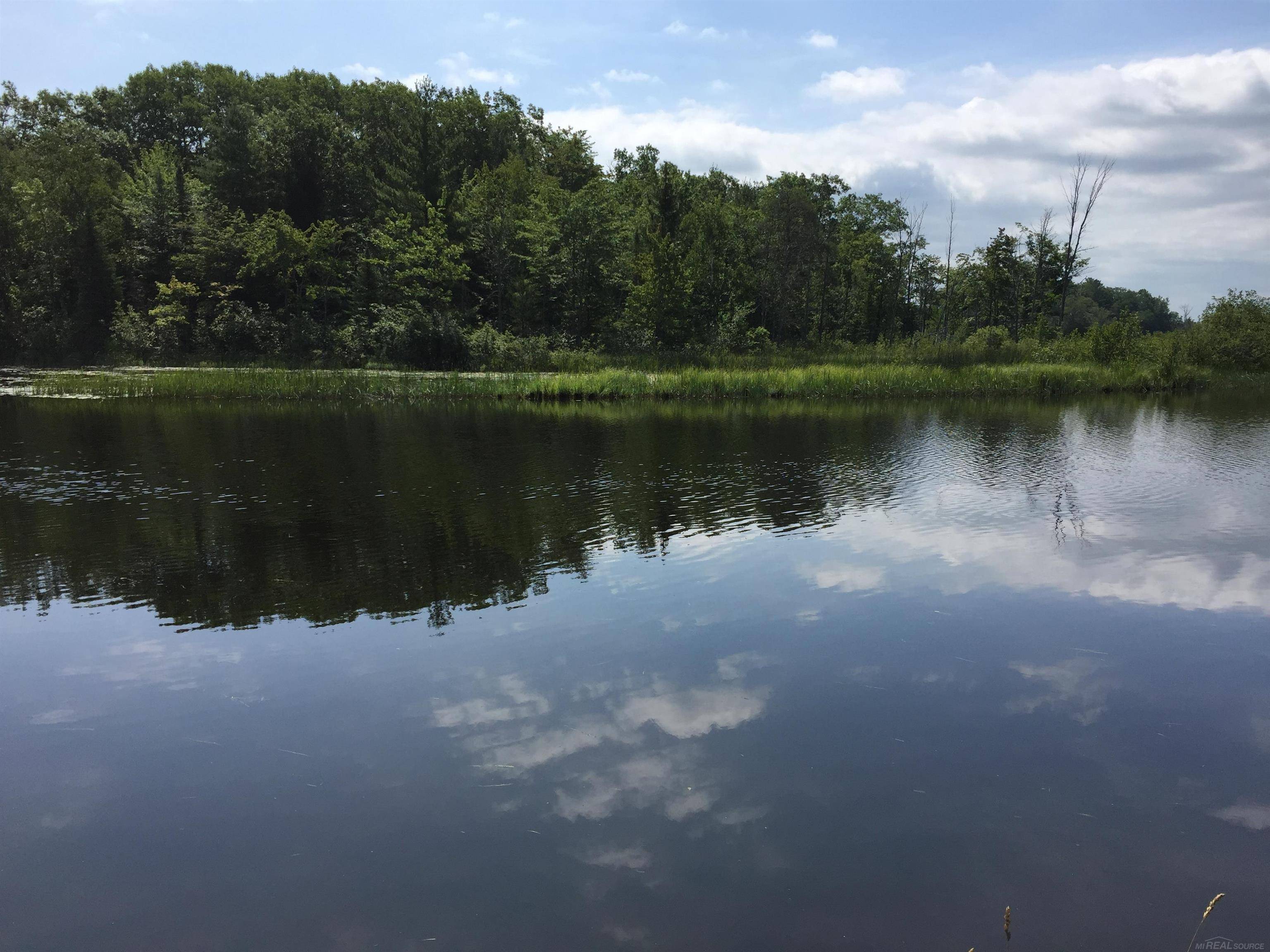 4011 Sandall RD, Maple Ridge Twp, MI 49707