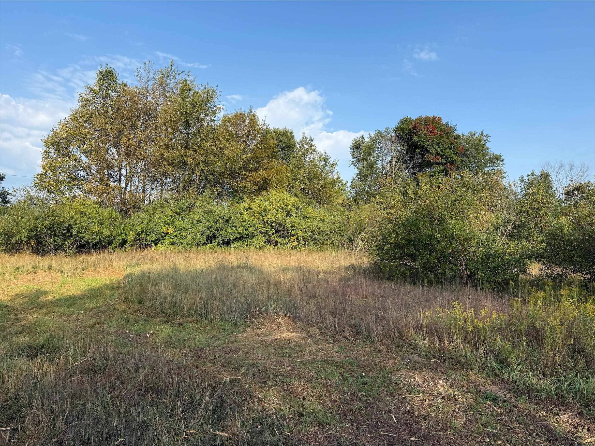 S Maple City RD, Kasson Twp, MI 49664