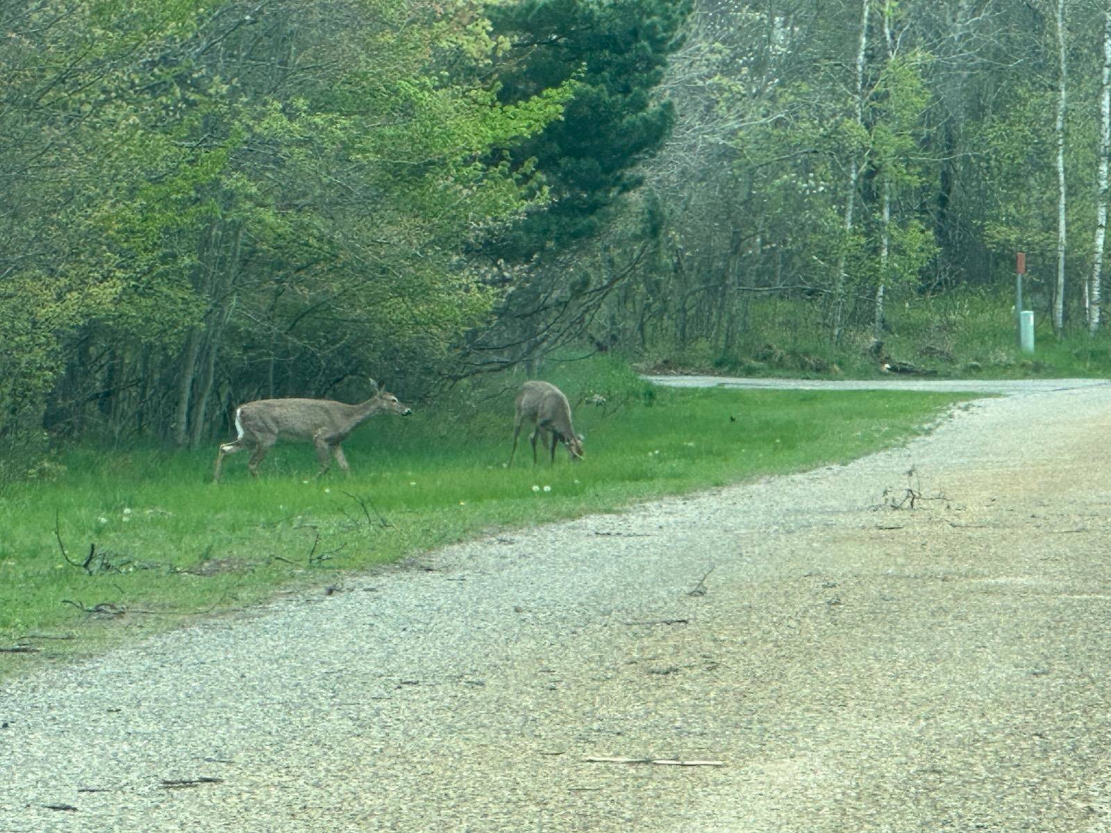 7 Fairway CT, Beaver Creek Twp, MI 49738