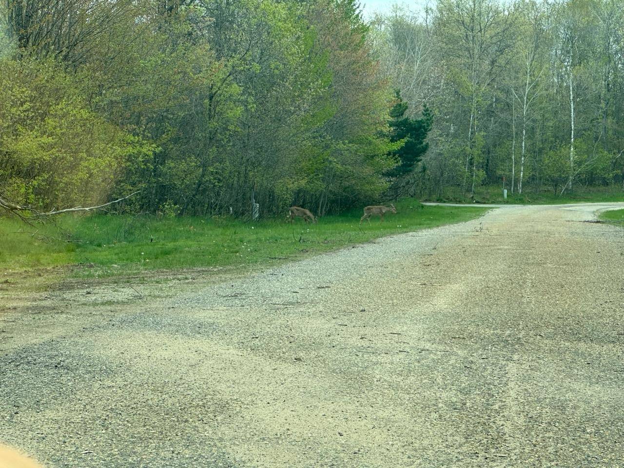 7 Fairway CT, Beaver Creek Twp, MI 49738