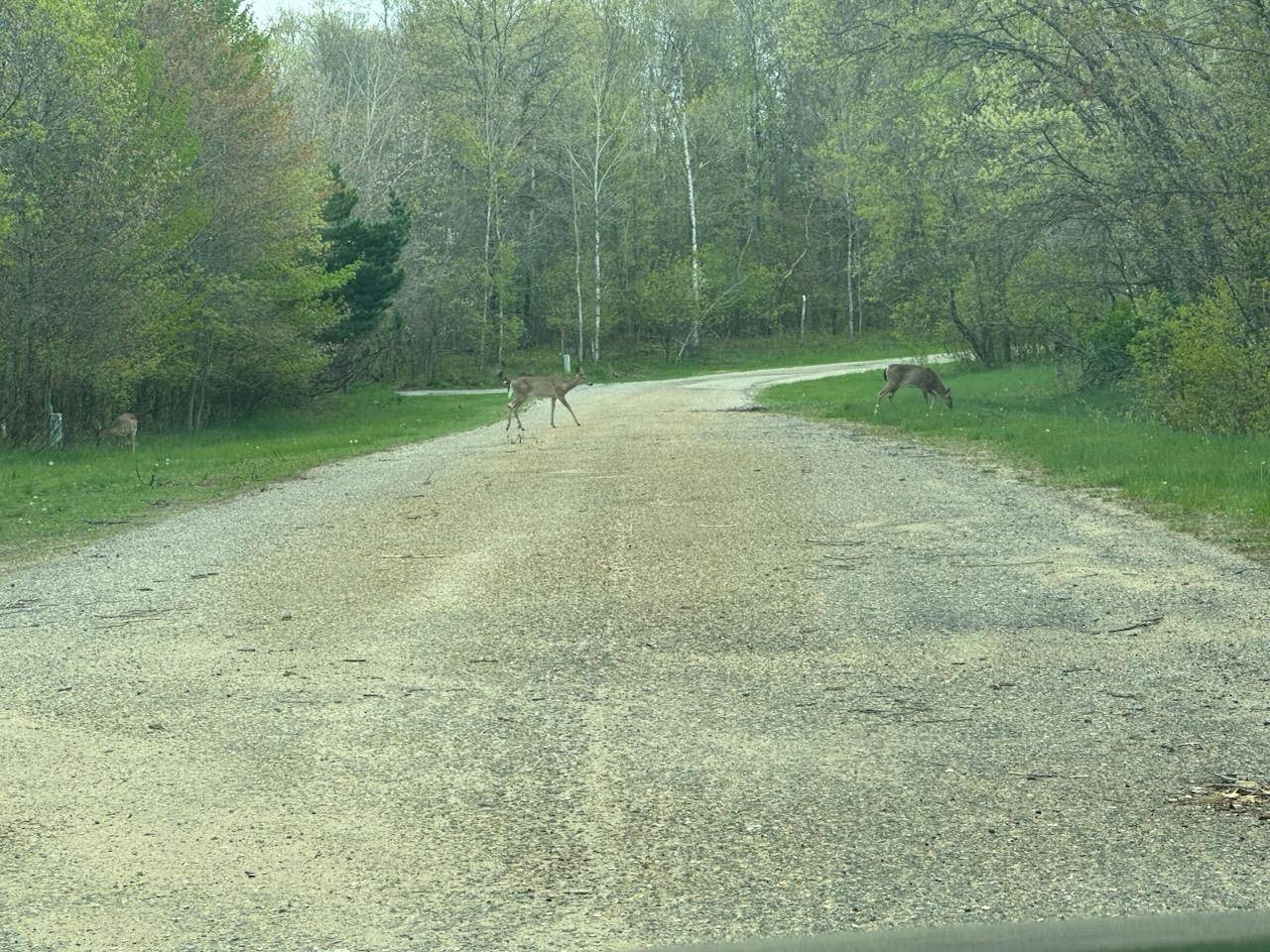 7 Fairway CT, Beaver Creek Twp, MI 49738