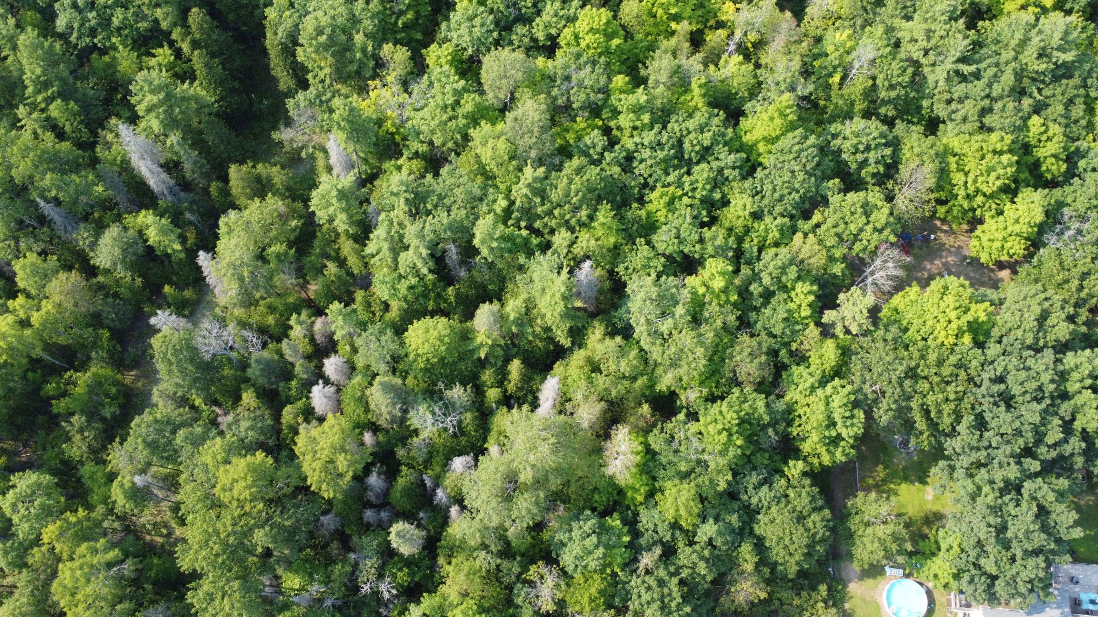 Lot 7 Rockhaven CRES, Marmora And Lake, ON K0K 2M0