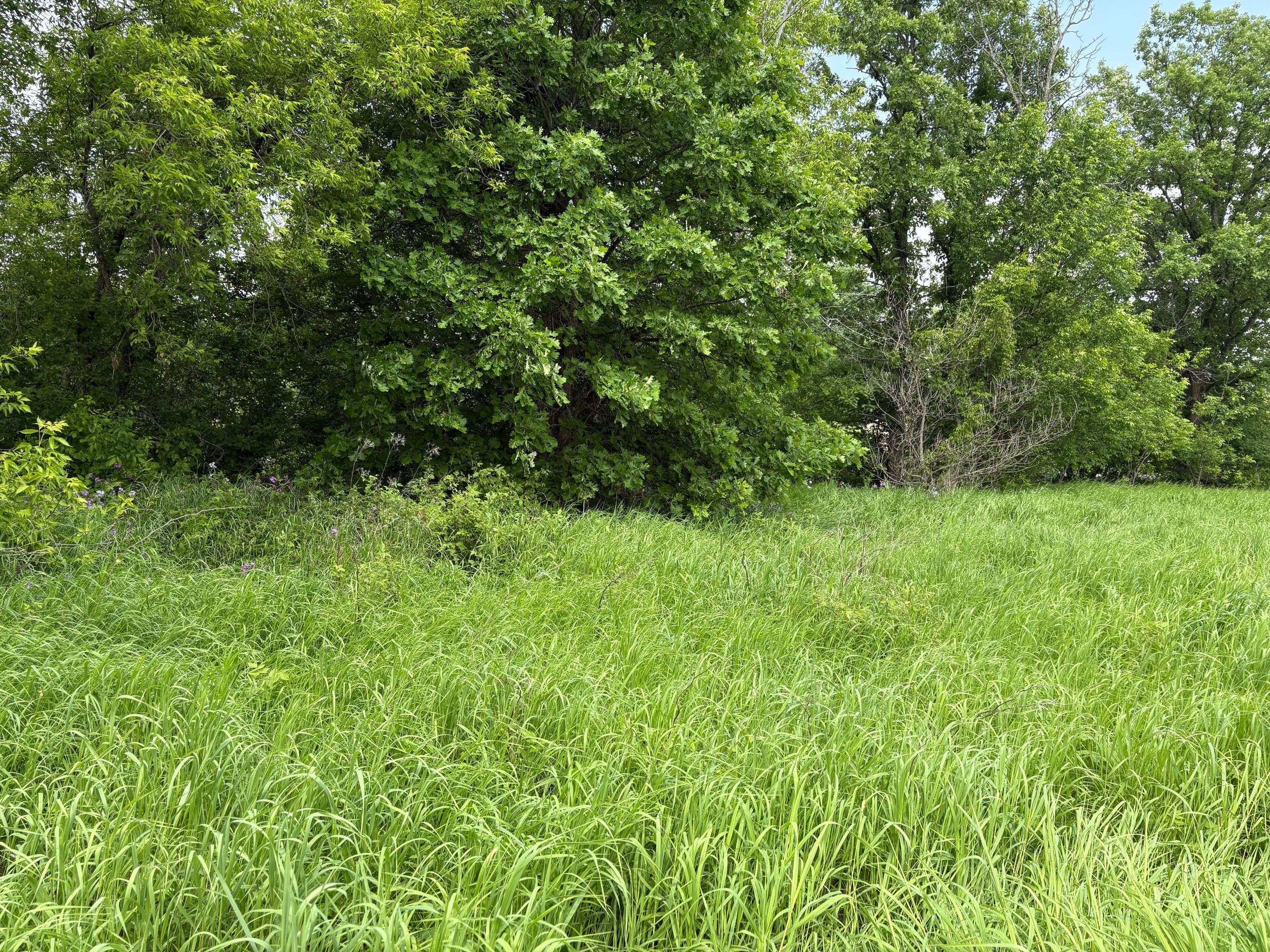 161 Old Pakenham RD, Carp - Dunrobin - Huntley - Fitzroy And Area, ON K0A 1X0
