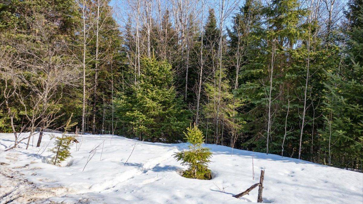 Pt Lt 9-10 Conc 7 Egan CT, Bancroft, ON K0L 1C0