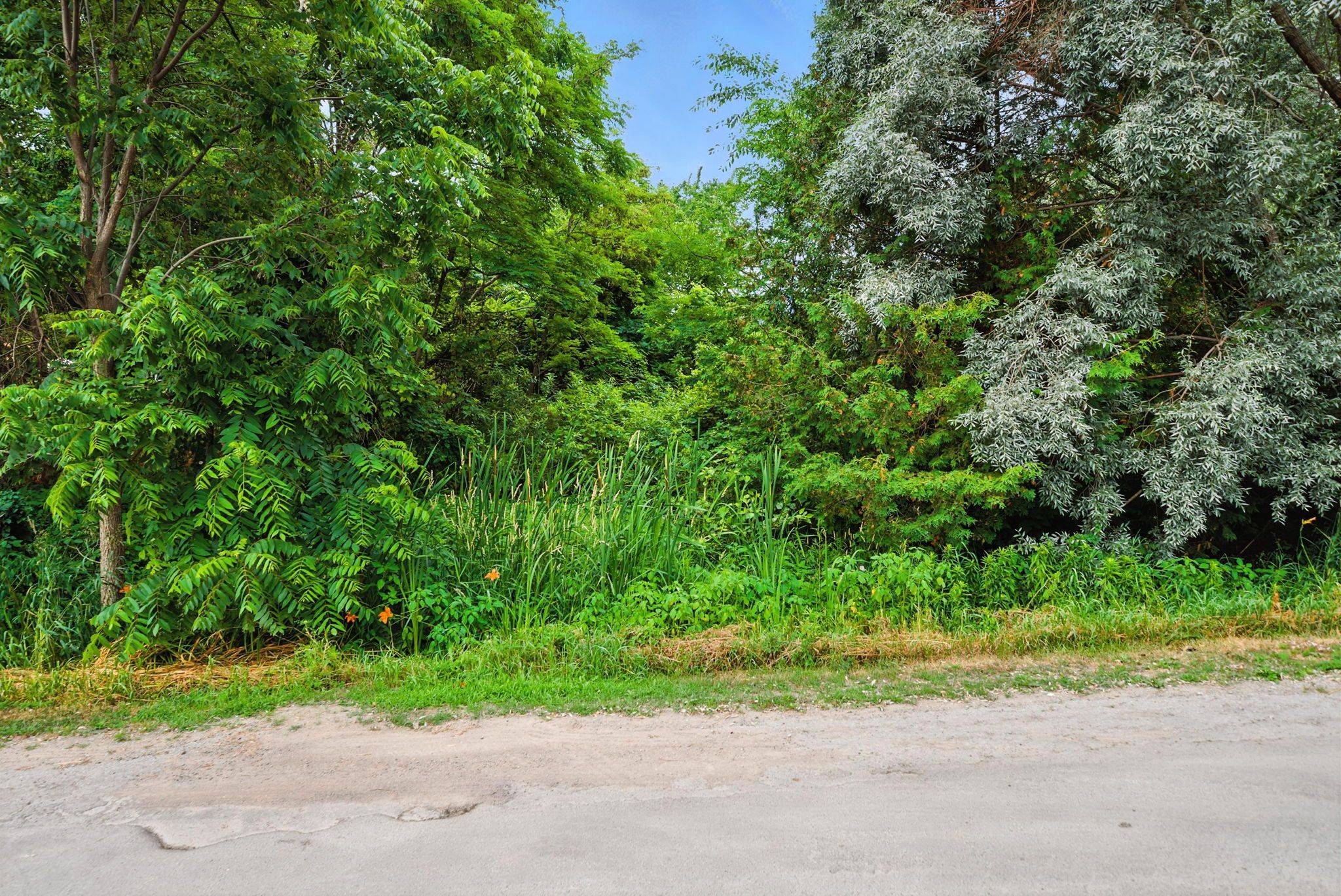 Lot 61 Summer DR, Kawartha Lakes, ON K0M 2C0