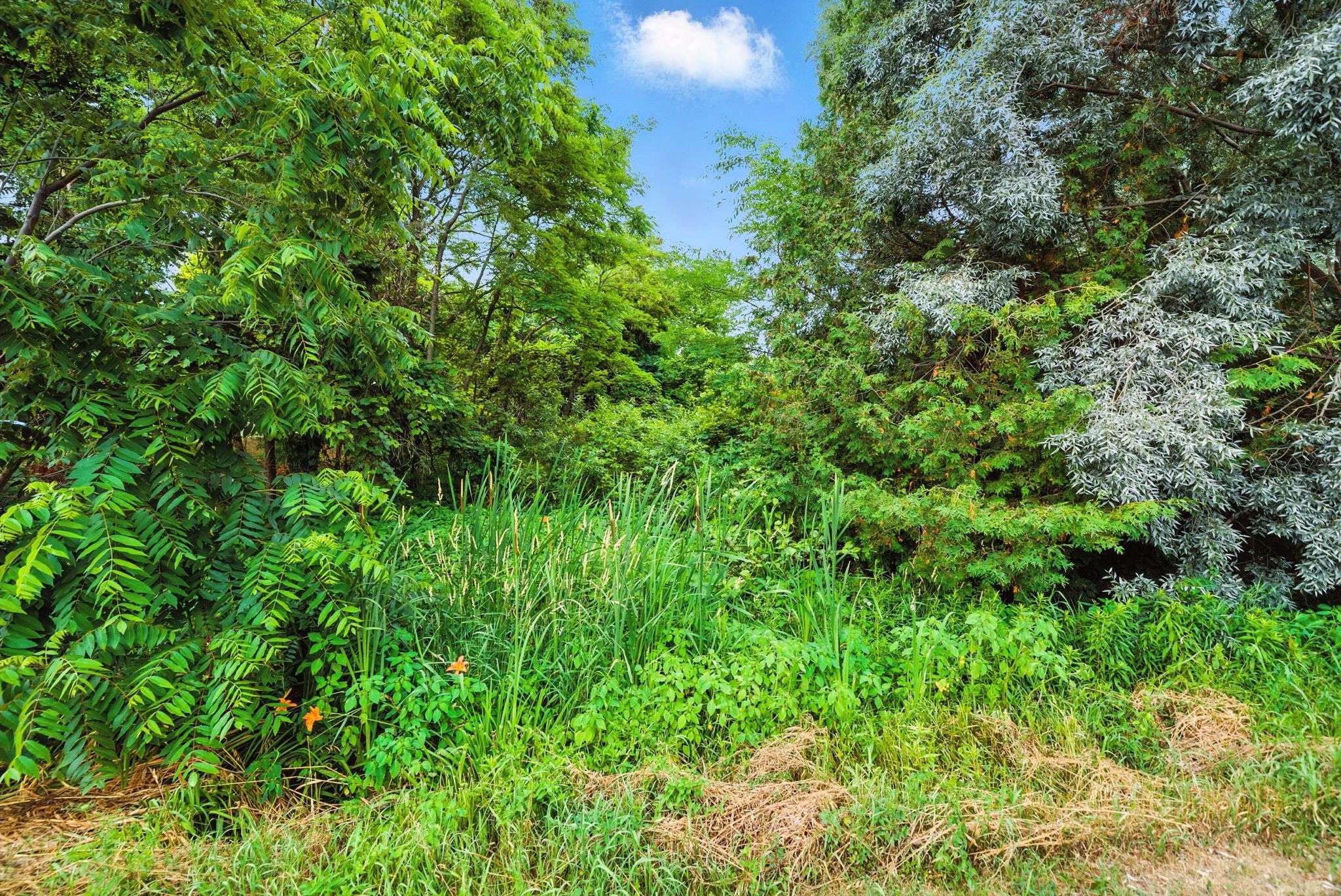 Lot 61 Summer DR, Kawartha Lakes, ON K0M 2C0